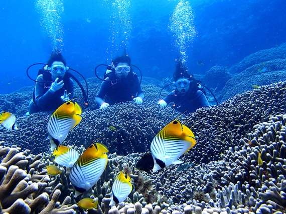 Dive宮古島 リッカドッカ沖縄ナビ