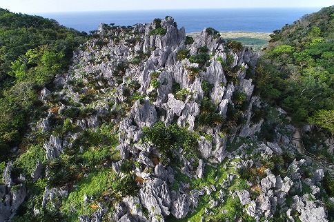 ASMUI Spiritual Hikes (旧)大石林山